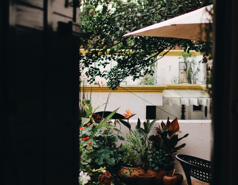 smrithi-rao-gsEzupqBzdM-unsplash